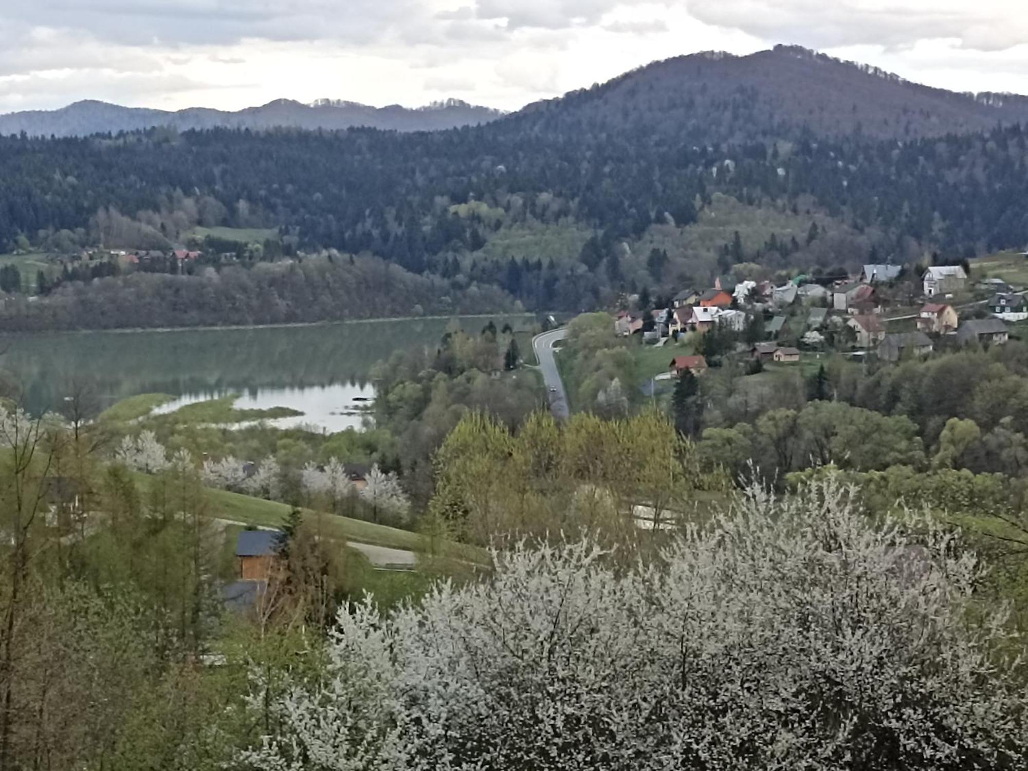 Apartamenty i domki Wolkowyja Rom bilde